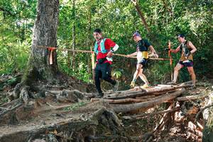 BIB: 
                            <button type="button" onclick="openModal(27552280)" class="btn btn-primary btn-sm float-right btn-popup" data-toggle="modal" data-target=".modal-high-quality">
                        <i class="fas fa-shopping-cart"></i> Add to Cart
                    </button>
                                            <button type="button" onclick="isThisMe(27552280, true)" class="btn btn-success btn-sm float-right btn-popup btn-isme hidden" data-toggle="tooltip" data-placement="bottom" title="นี่คือรูปของคุณใช่ไหม คลิกที่นี่เพื่อเอาเข้าอัลบั้ม">
                        <i class="fas fa-plus"></i> Add to album
                    </button>
                    <button type="button" onclick="isThisMe(27552280, false)" class="btn btn-warning btn-sm float-right btn-popup btn-isnotme hidden">
                        <i class="fas fa-ban"></i> Remove from album
                    </button>